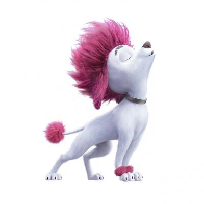 images/movies/100-wolf/download/100-loup-photo-17.png.zip